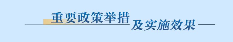 重要政策舉措及實(shí)施效果