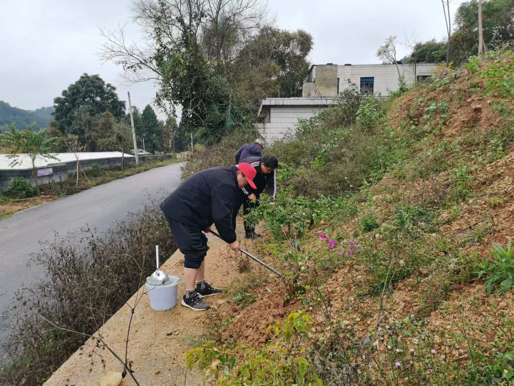 微信圖片_20241128164942.jpg 微信圖片_20241128164942.jpg