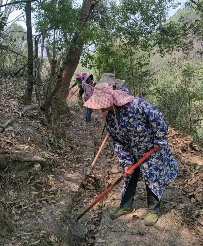 微信圖片_20250415144902.jpg