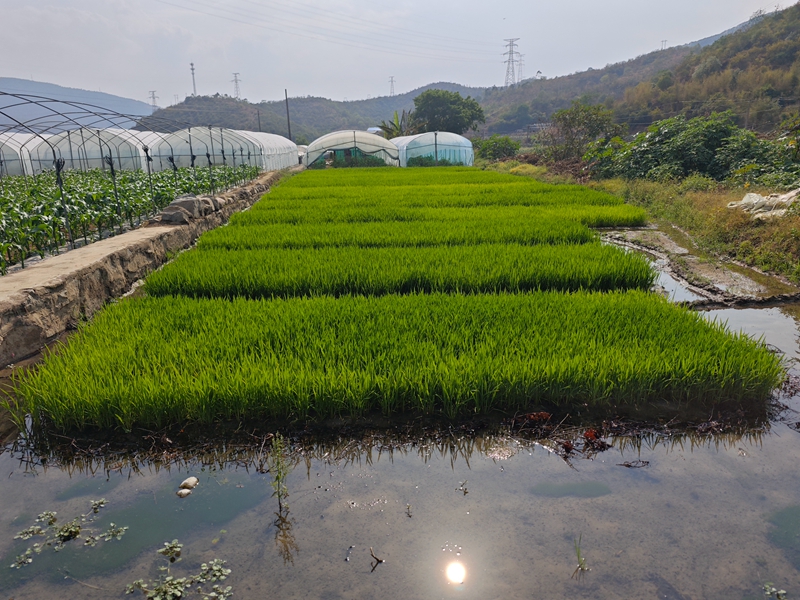 6569275acda05295f51d088791d5146.jpg 6569275acda05295f51d088791d5146.jpg