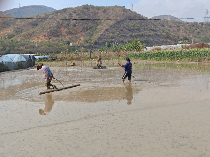 e1e22c36b4c505c0f028d1c6de09ed9.jpg e1e22c36b4c505c0f028d1c6de09ed9.jpg