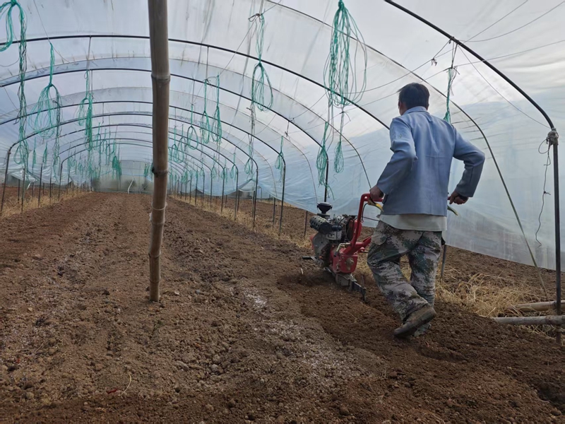 2db8b87b0d70ca65da19f66eccdda56.jpg 2db8b87b0d70ca65da19f66eccdda56.jpg