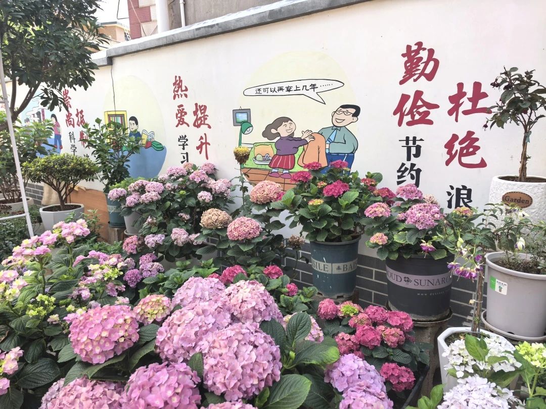 微信圖片_20250623095510.jpg