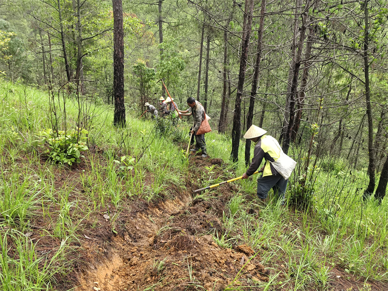 微信圖片_2025-11-04_161045_763.jpg 微信圖片_2025-11-04_161045_763.jpg