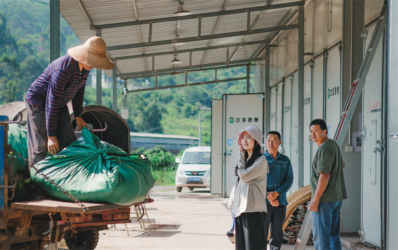 微信圖片_2025-11-17_175819_642.jpg 微信圖片_2025-11-17_175819_642.jpg