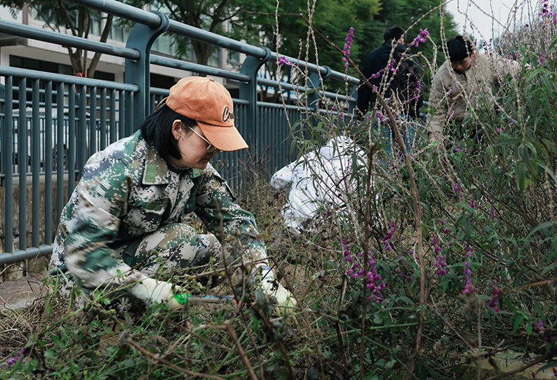 CY4A5281-1.jpg CY4A5281-1.jpg