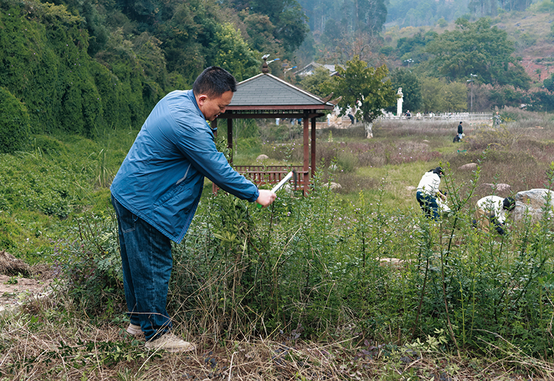 CY4A5388-1.jpg CY4A5388-1.jpg