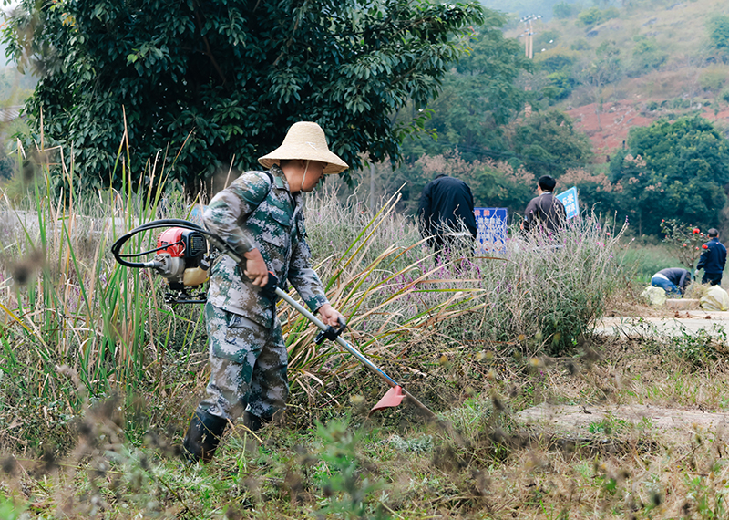 CY4A5363-1.jpg CY4A5363-1.jpg