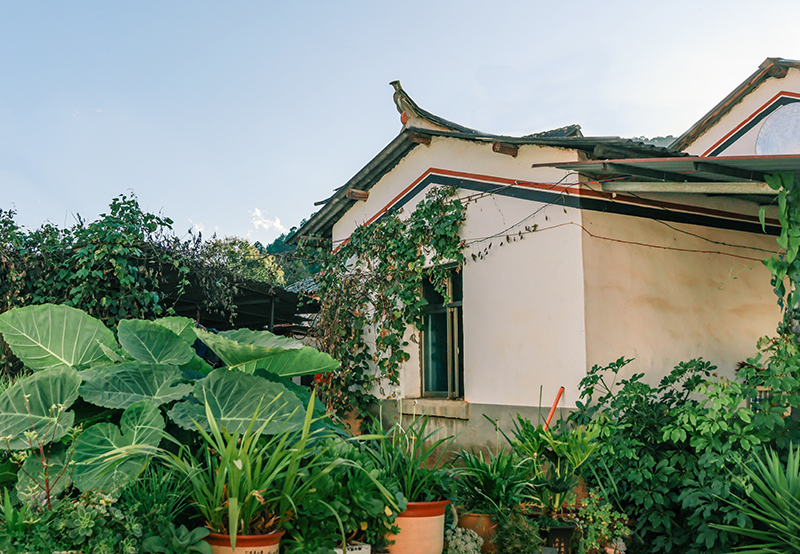 微信圖片_2025-11-18_162230_205.jpg 微信圖片_2025-11-18_162230_205.jpg