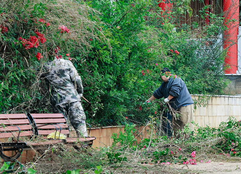 CY4A5404-1.jpg CY4A5404-1.jpg