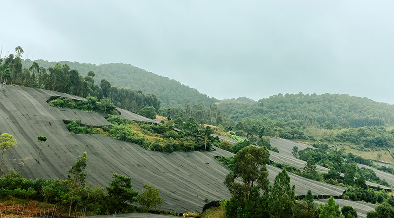 微信圖片_2025-11-21_113331_880.jpg 微信圖片_2025-11-21_113331_880.jpg