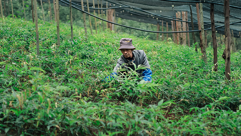 微信圖片_2025-11-21_112815_663.jpg 微信圖片_2025-11-21_112815_663.jpg