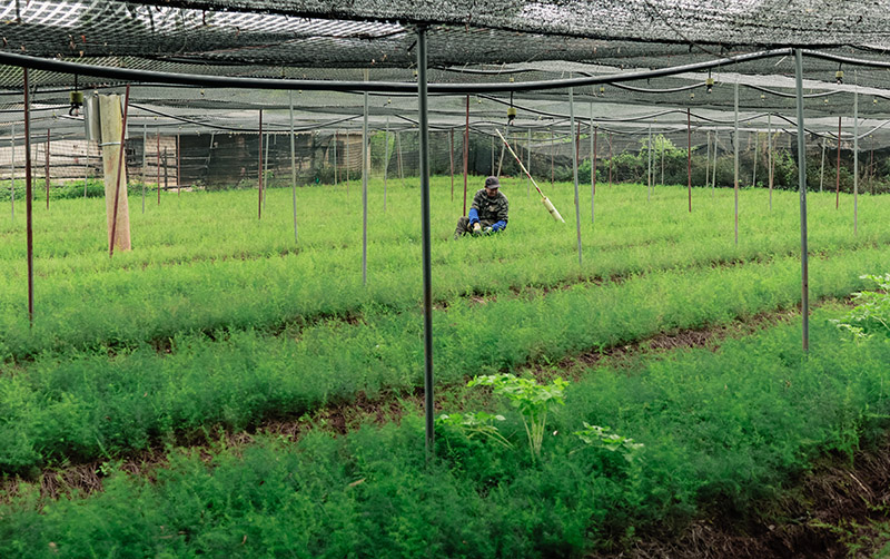 微信圖片_2025-11-21_113350_448.jpg 微信圖片_2025-11-21_113350_448.jpg