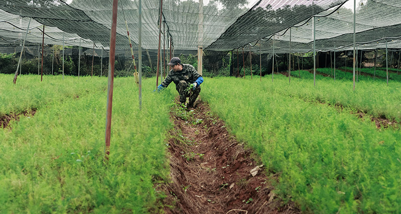 微信圖片_2025-11-21_113343_200.jpg 微信圖片_2025-11-21_113343_200.jpg