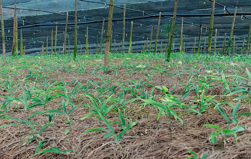 微信圖片_2025-11-21_113926_370.jpg 微信圖片_2025-11-21_113926_370.jpg