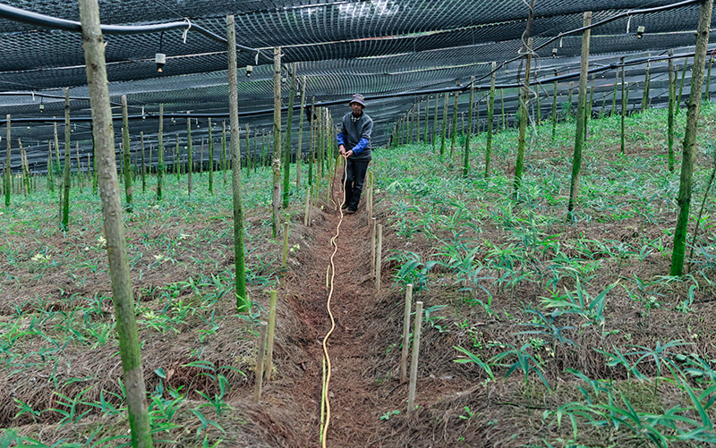 微信圖片_2025-11-21_113931_433.jpg 微信圖片_2025-11-21_113931_433.jpg