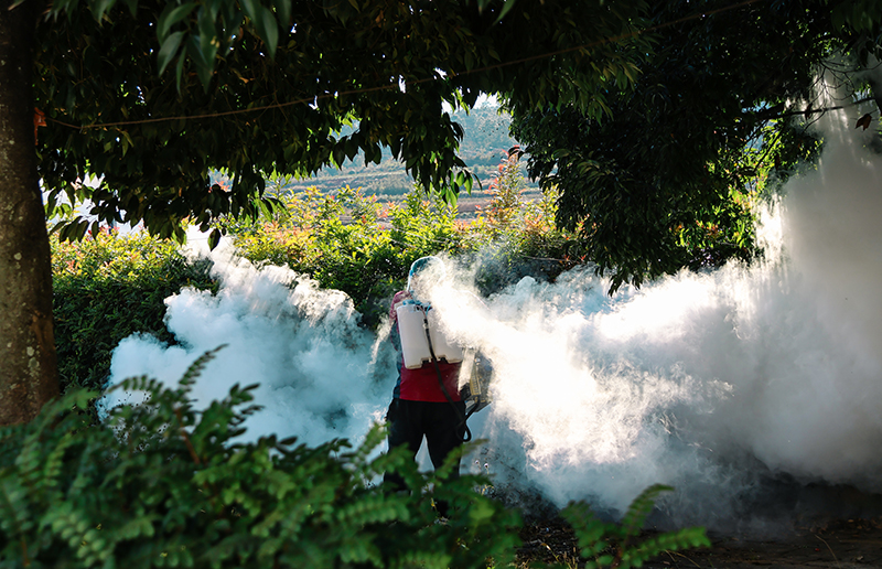 CY4A0294-1.jpg CY4A0294-1.jpg