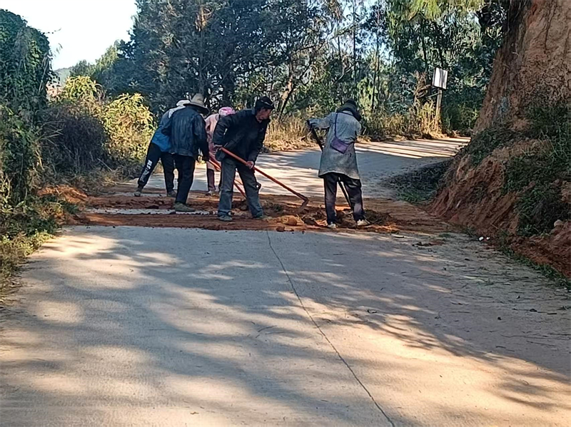 上塔竜支部黨員組織群眾修甸大路2.jpg