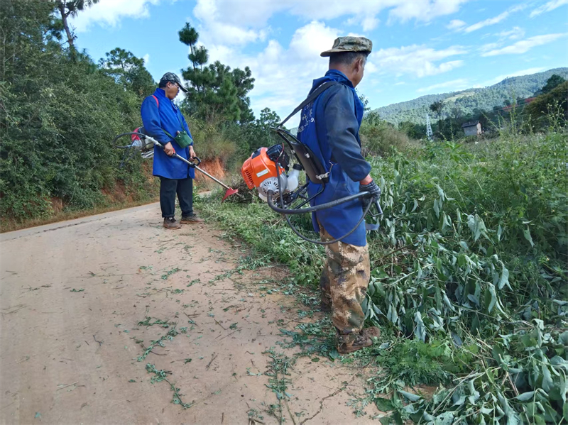 小龍箐組組織黨員群眾割開進村道路及民事房前后清理雜草1.jpg